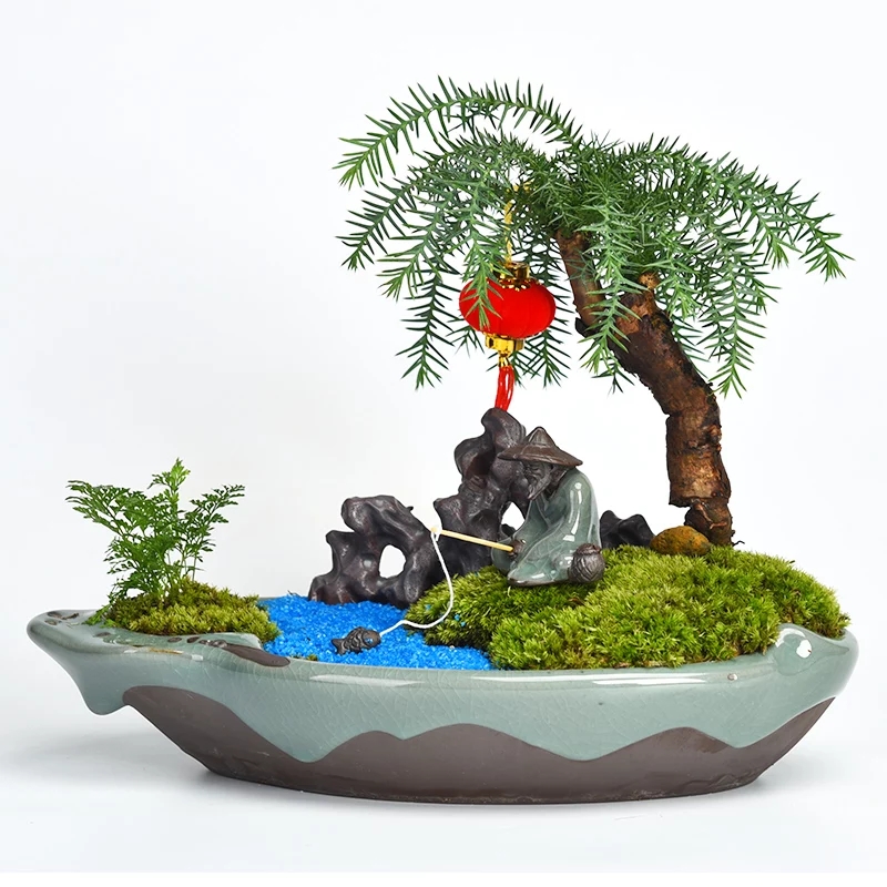 基地綠植類(lèi)辦公場(chǎng)所室內(nèi)盆景類(lèi)齊全均可選擇